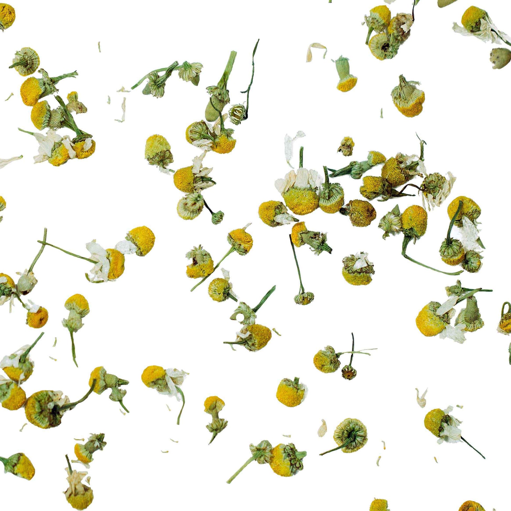 Pure Chamomile
