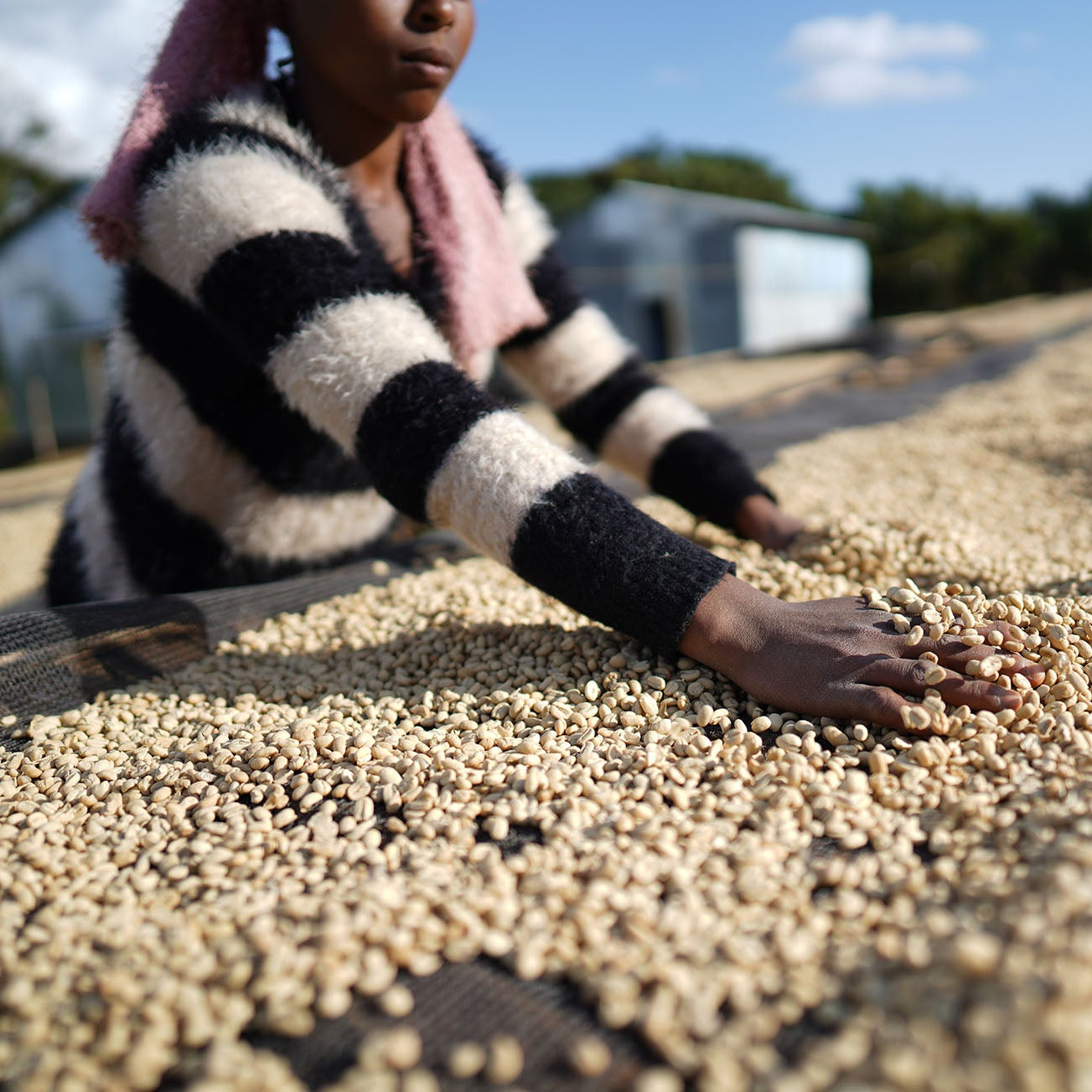 Ethiopia - Malawo