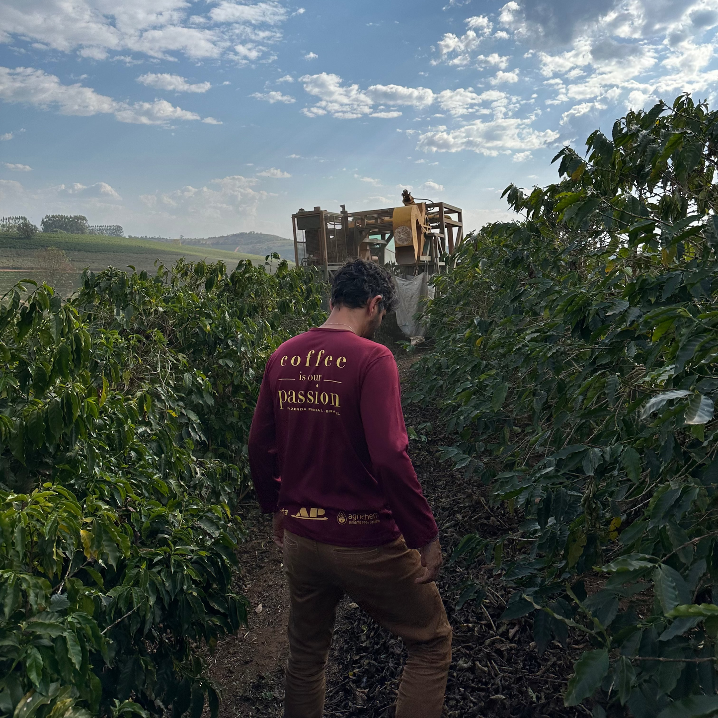 Brazil - Fazenda Pinhal Microlot