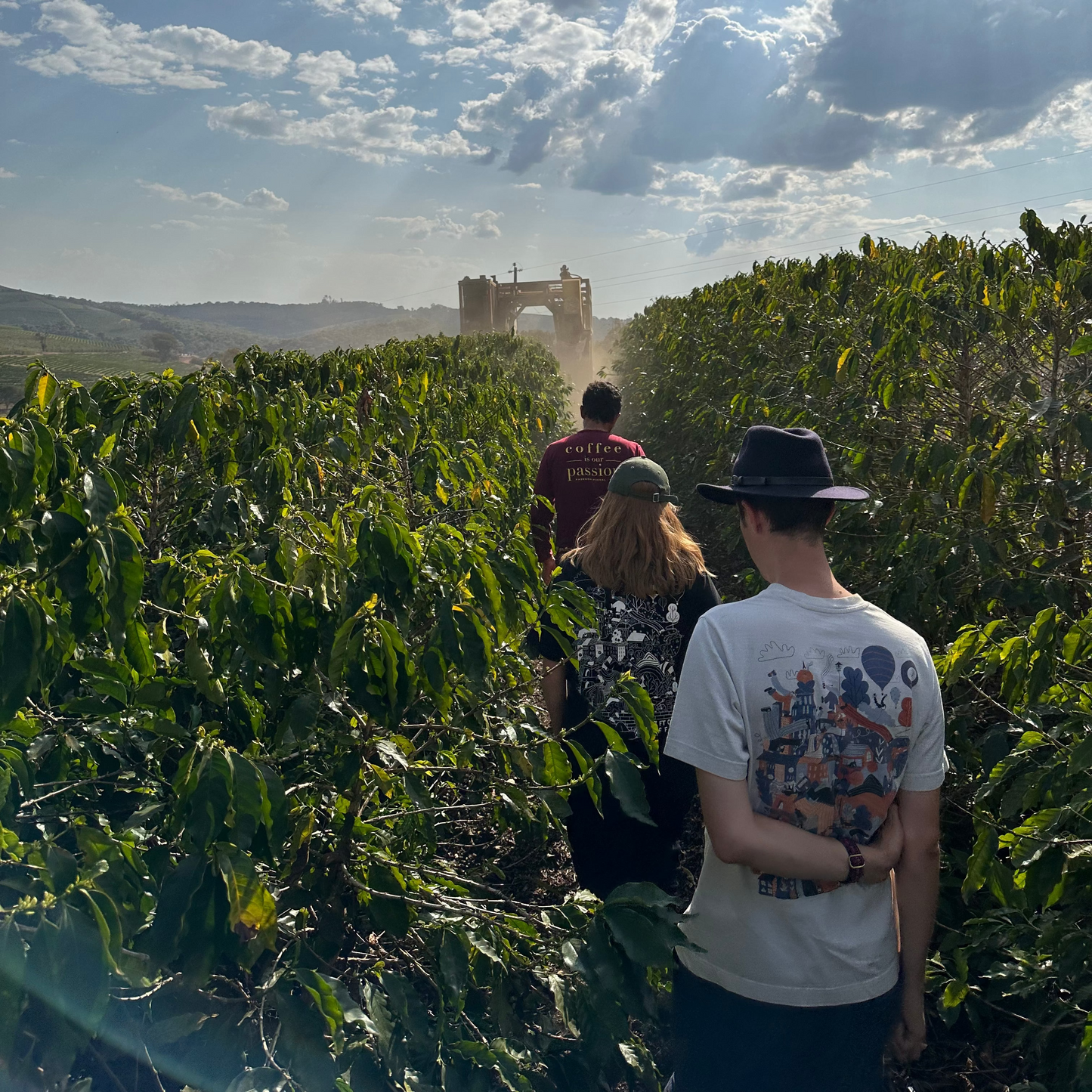 Brazil - Fazenda Pinhal Microlot