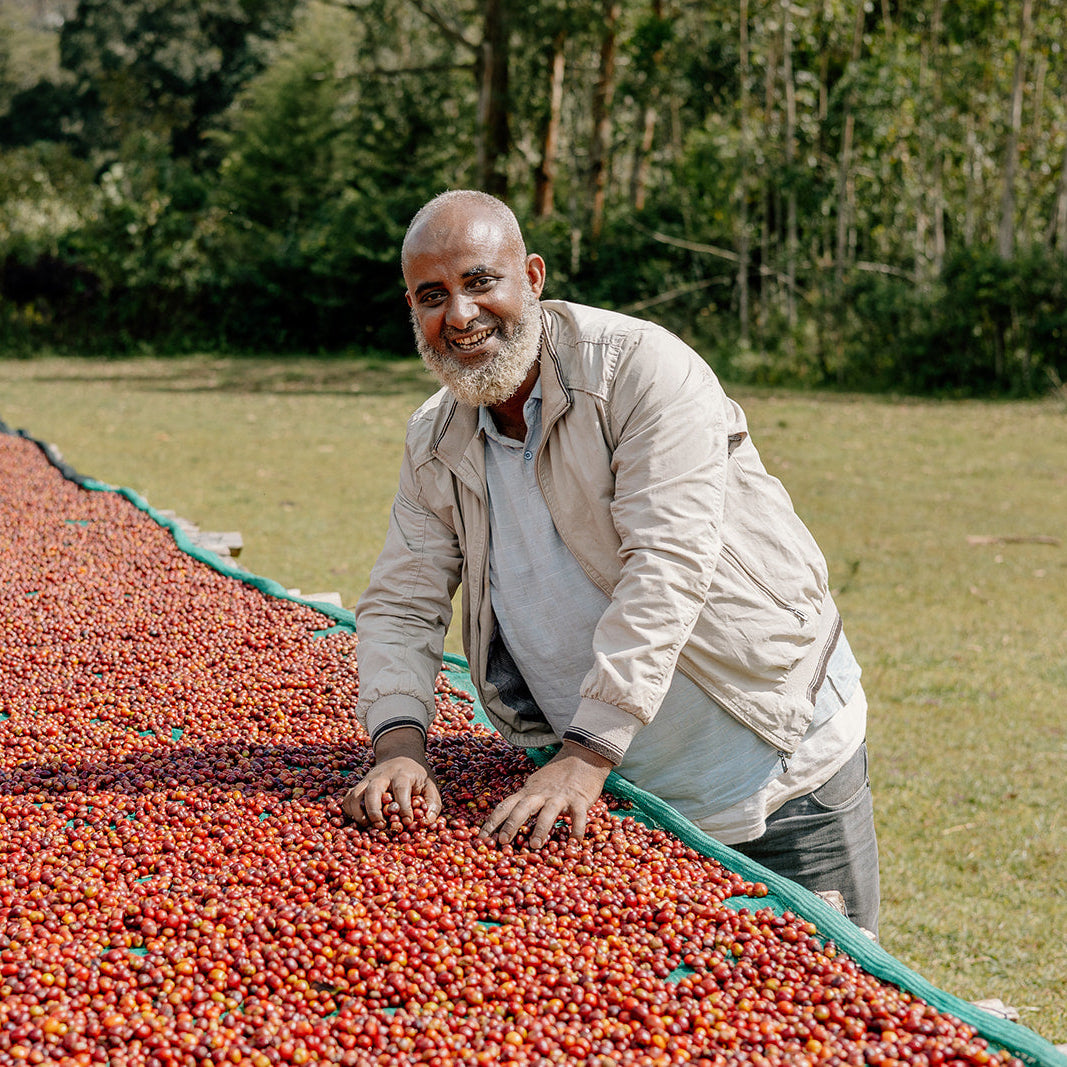 Ethiopia Espresso Bundle