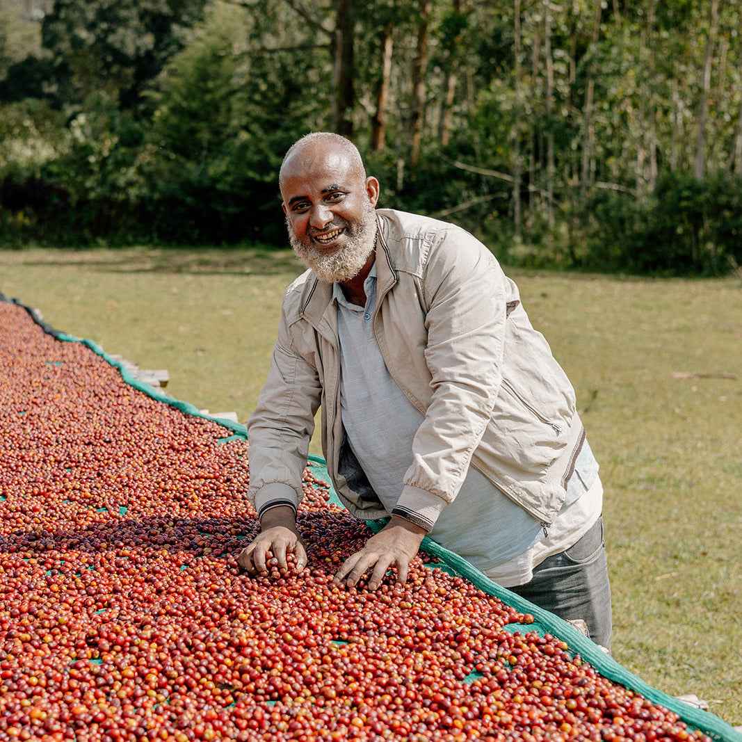 Cadence Espresso 2kg