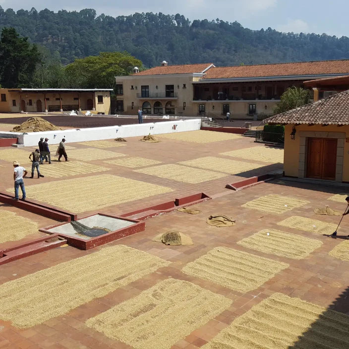 Guatemala - La Esperanza