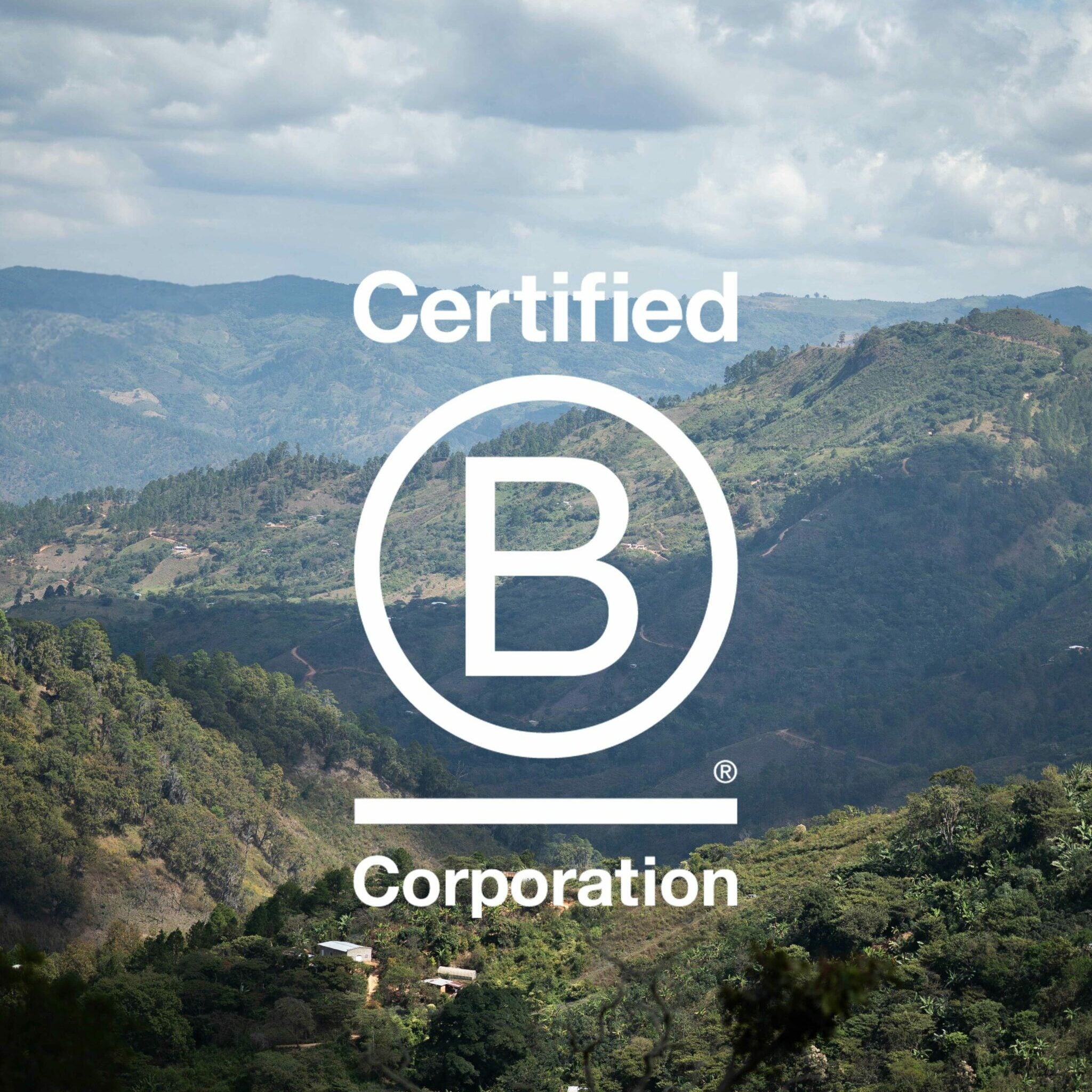 BCORP1-Update-scaled-e1701858390405