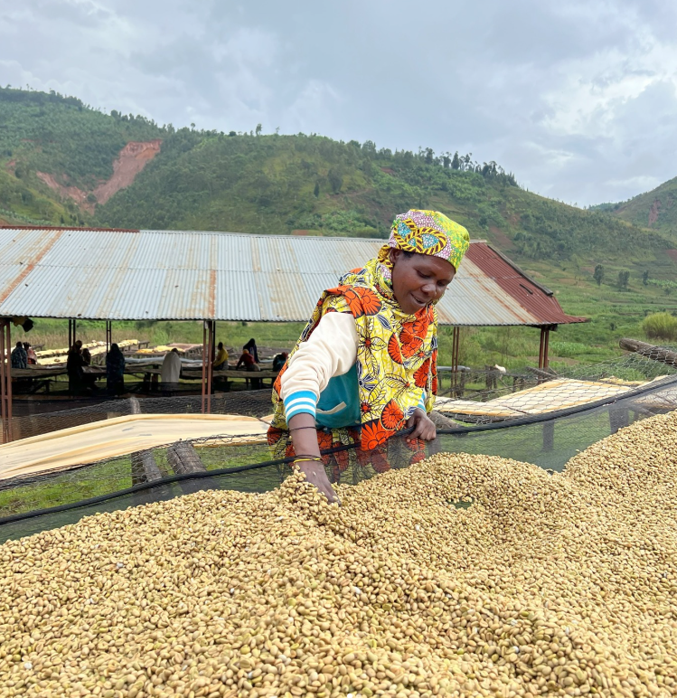 Burundi Cafex - Clifton Coffee Roasters