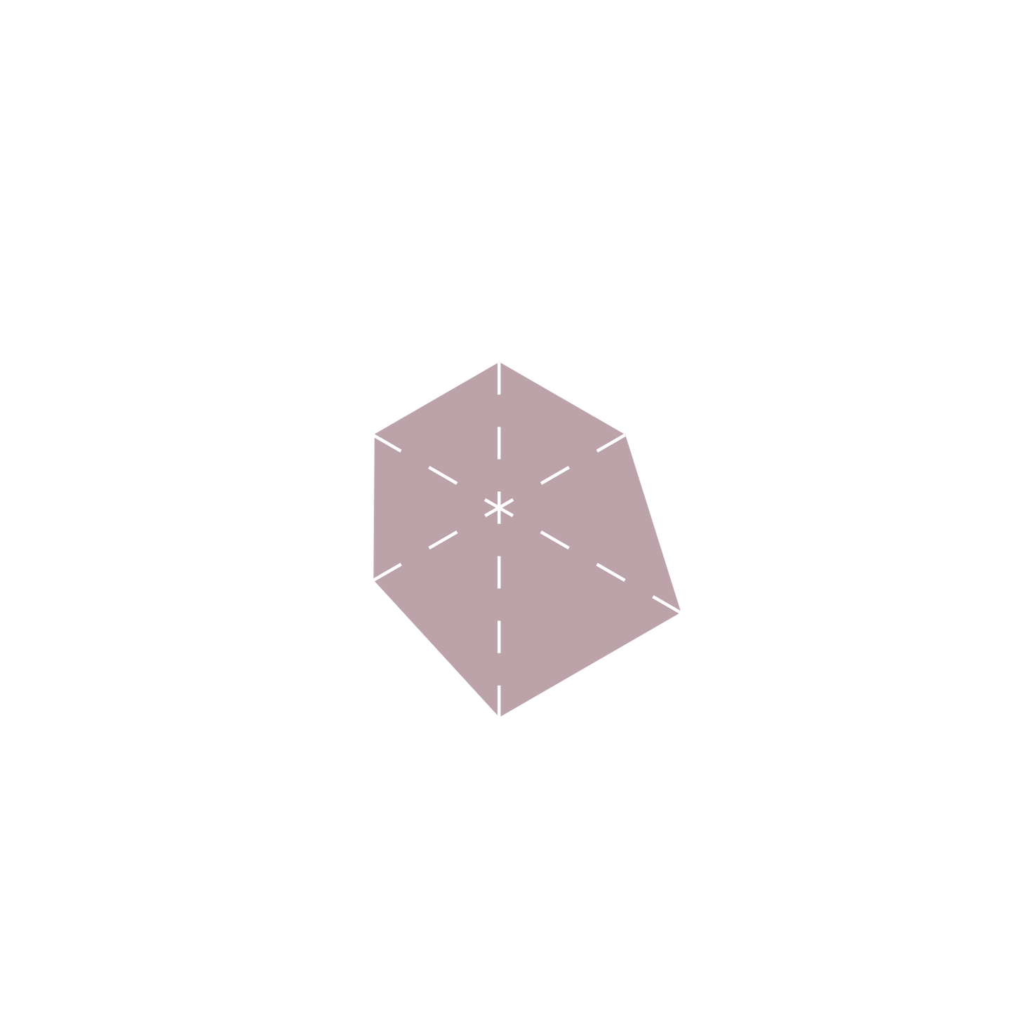 Burundi Cafex - Flavor Chart - Clifton Coffee Roasters