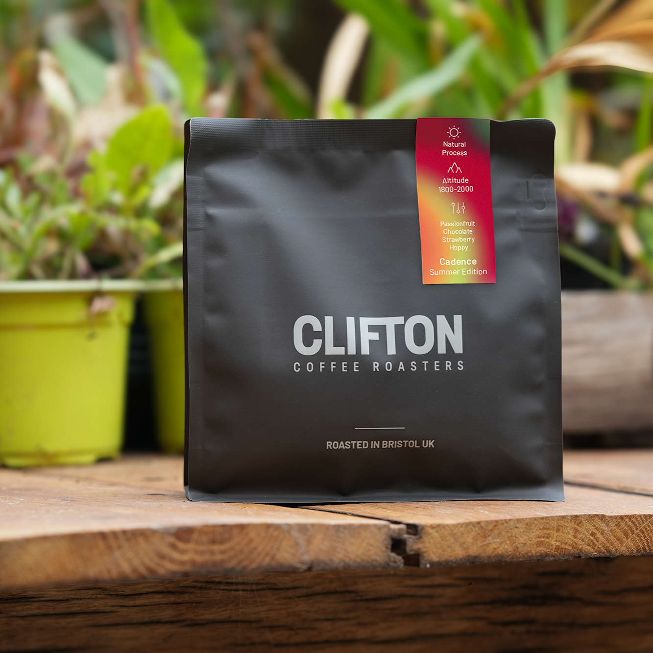 Cadence Espresso