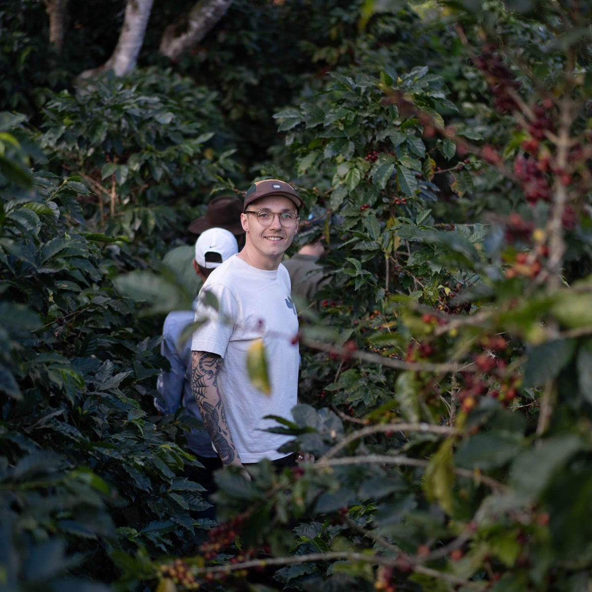 Honduras - Finca La Valentina