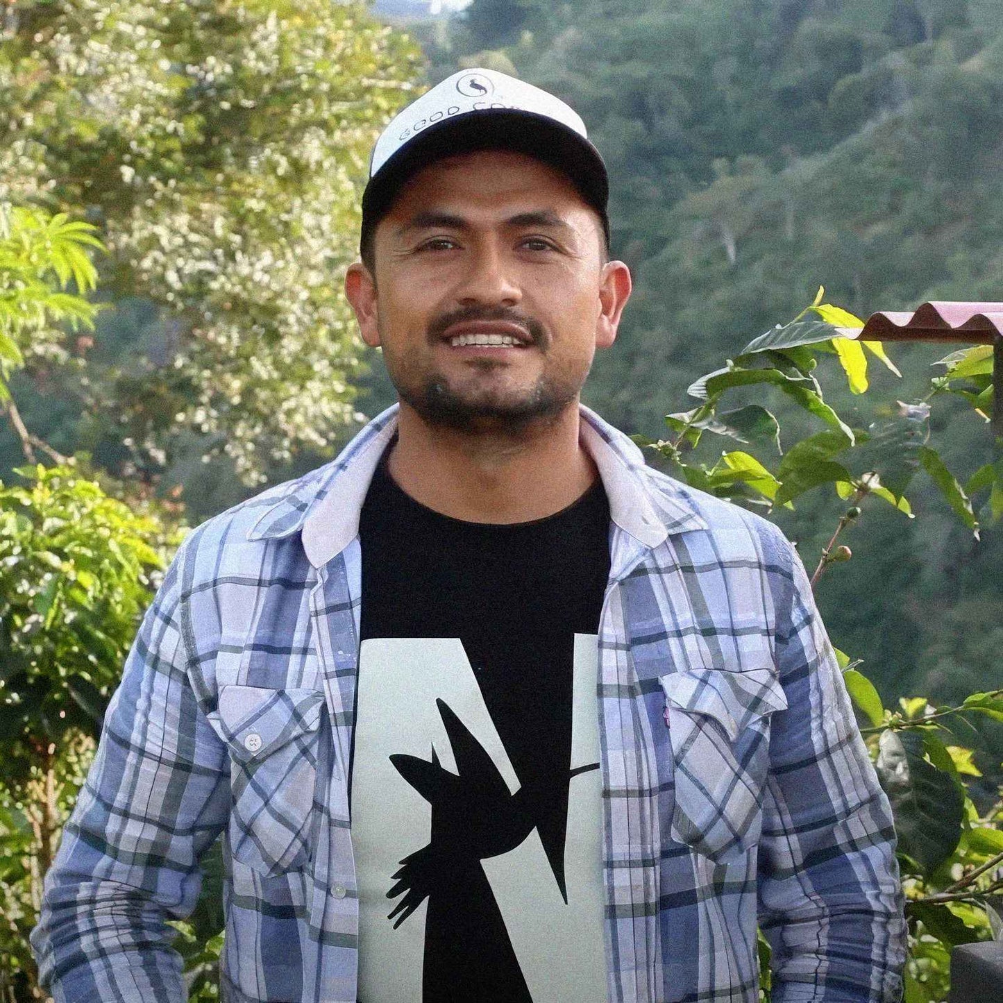 Colombia - Los Nogales Low Caf