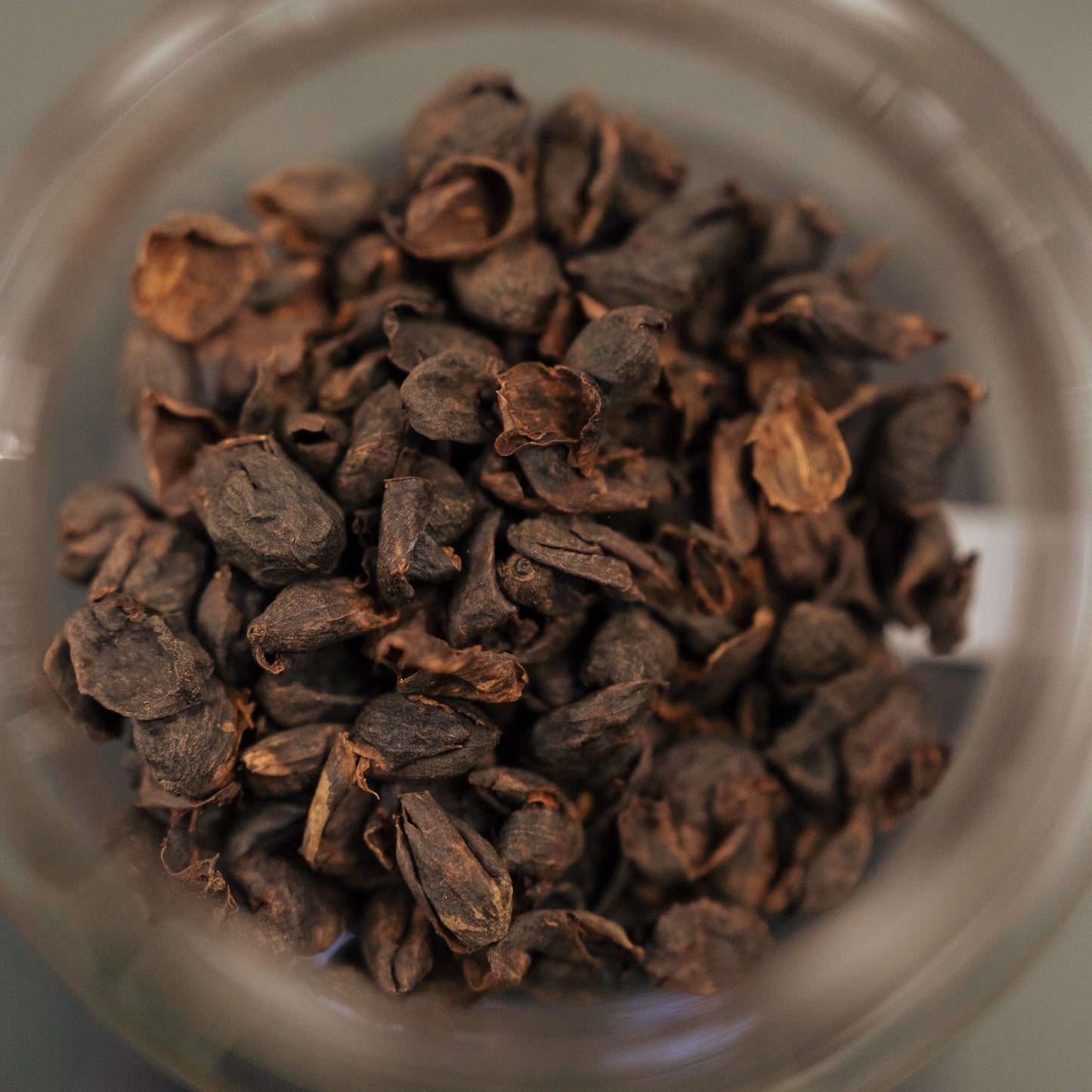 Guatemala Cascara