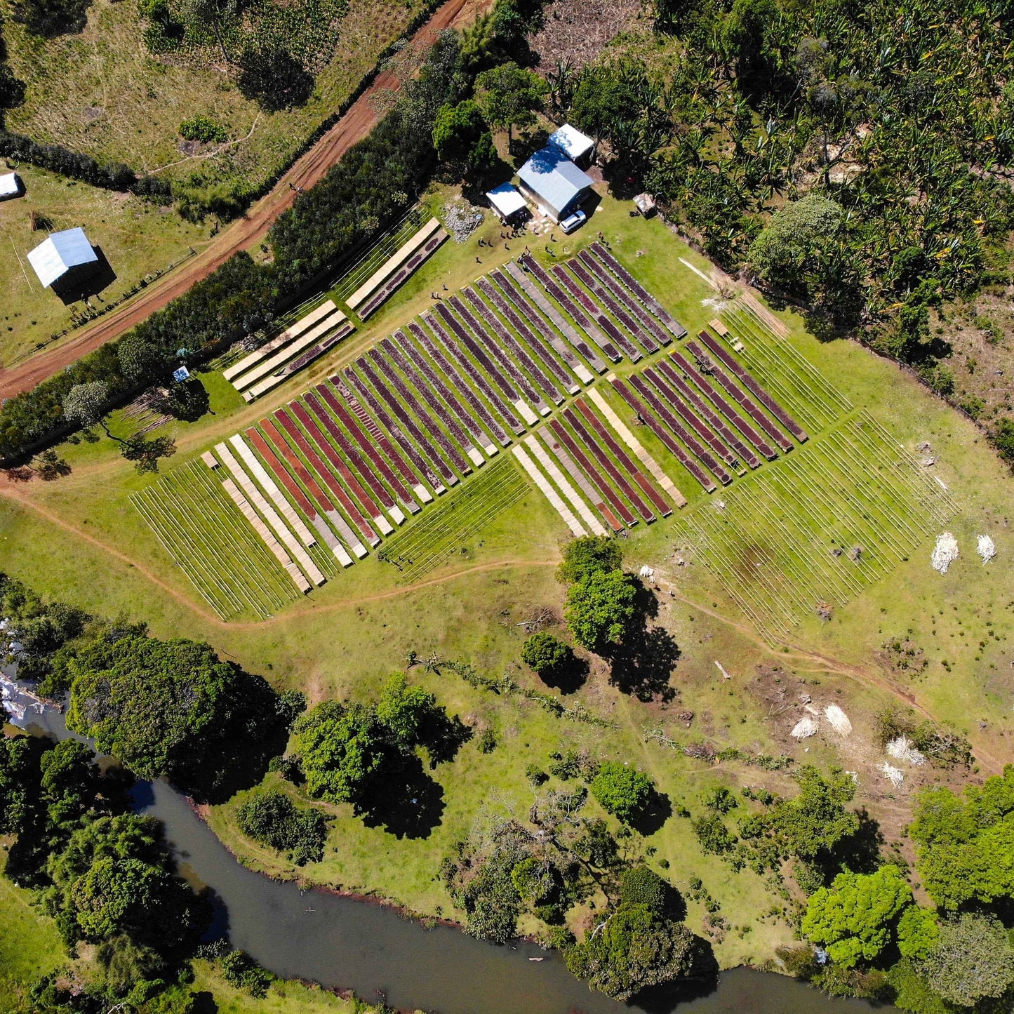 Ethiopia - Adara Keramo