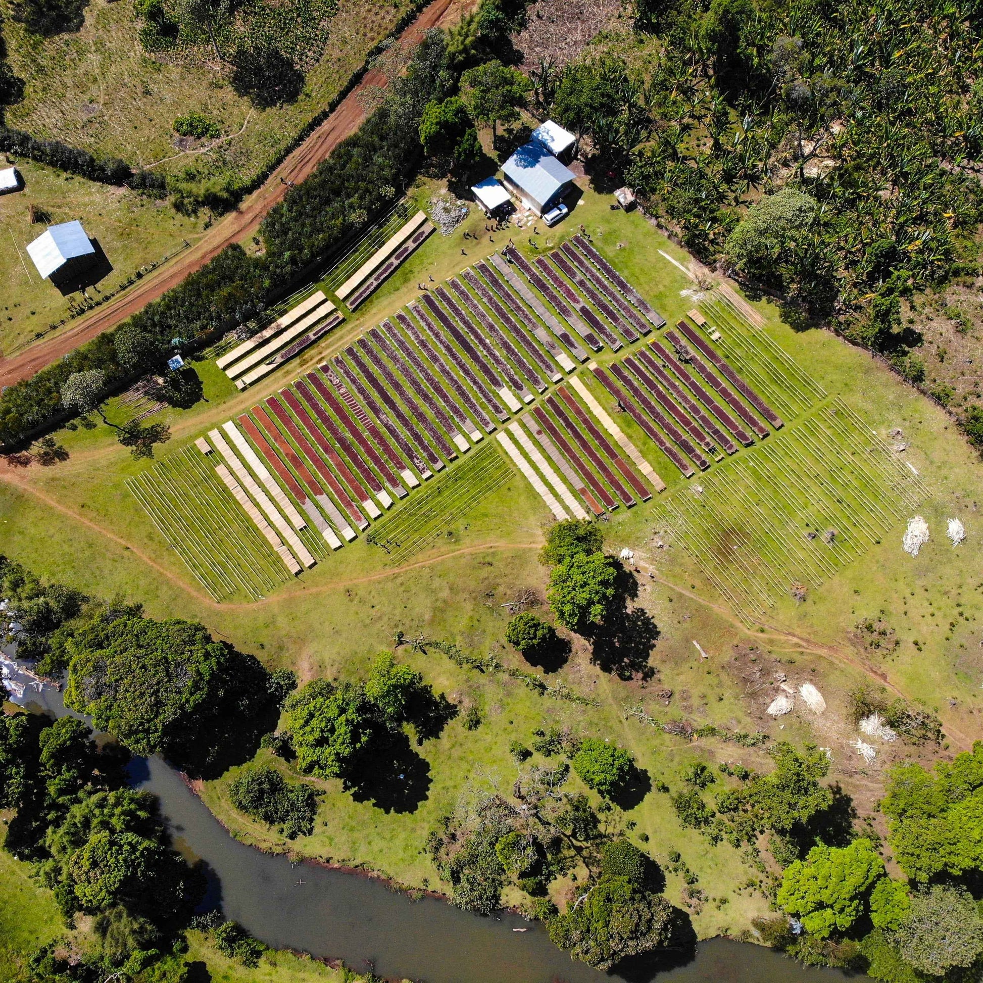Ethiopia - Adara Keramo