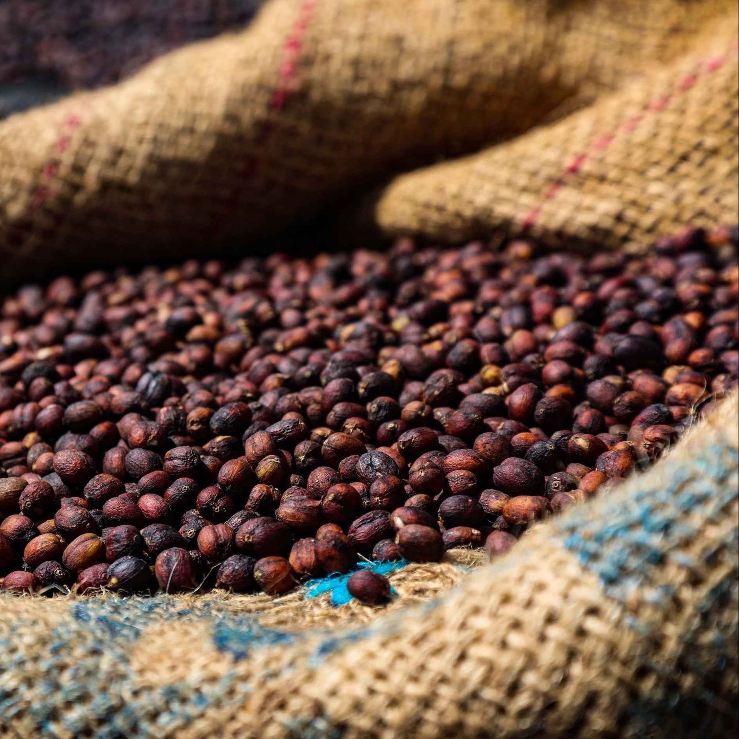 Ethiopia - Adara Keramo