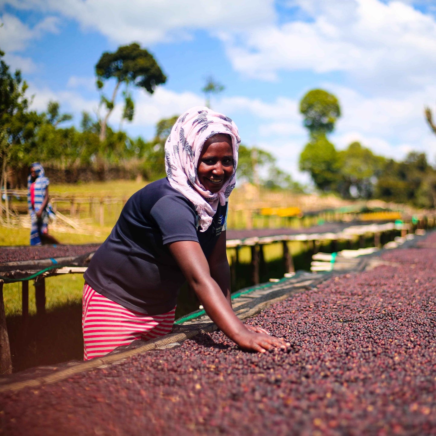 Ethiopia - Adara Keramo