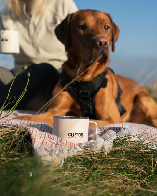 Miir x Clifton Coffee 8 oz Camp Mug - Pink