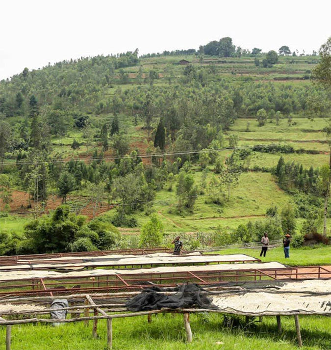 Rwanda - Mbizi