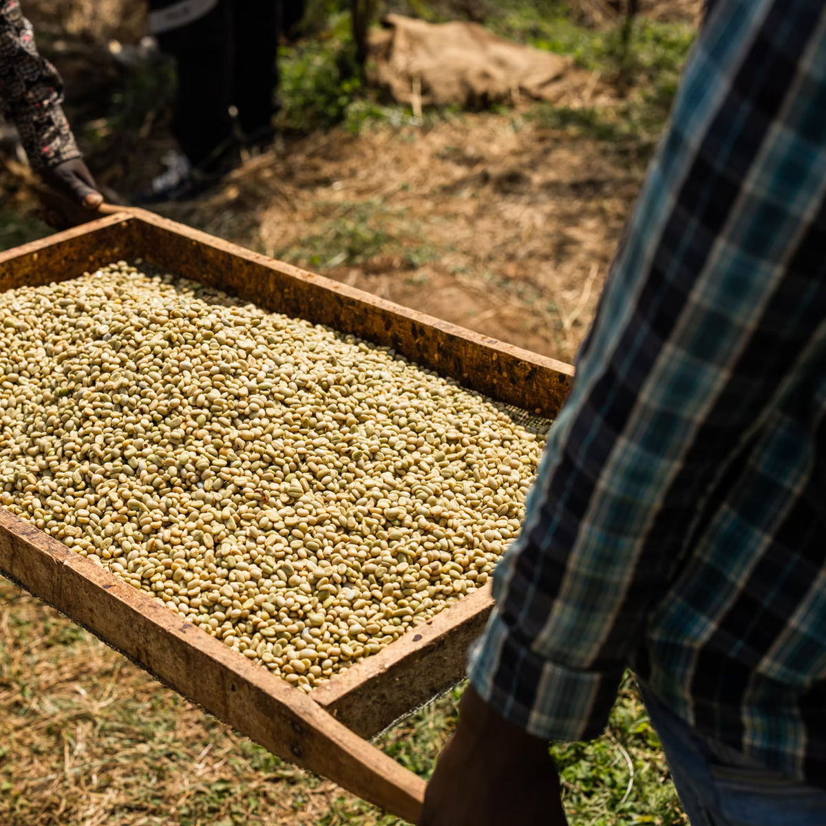 Ethiopia - West Arsi