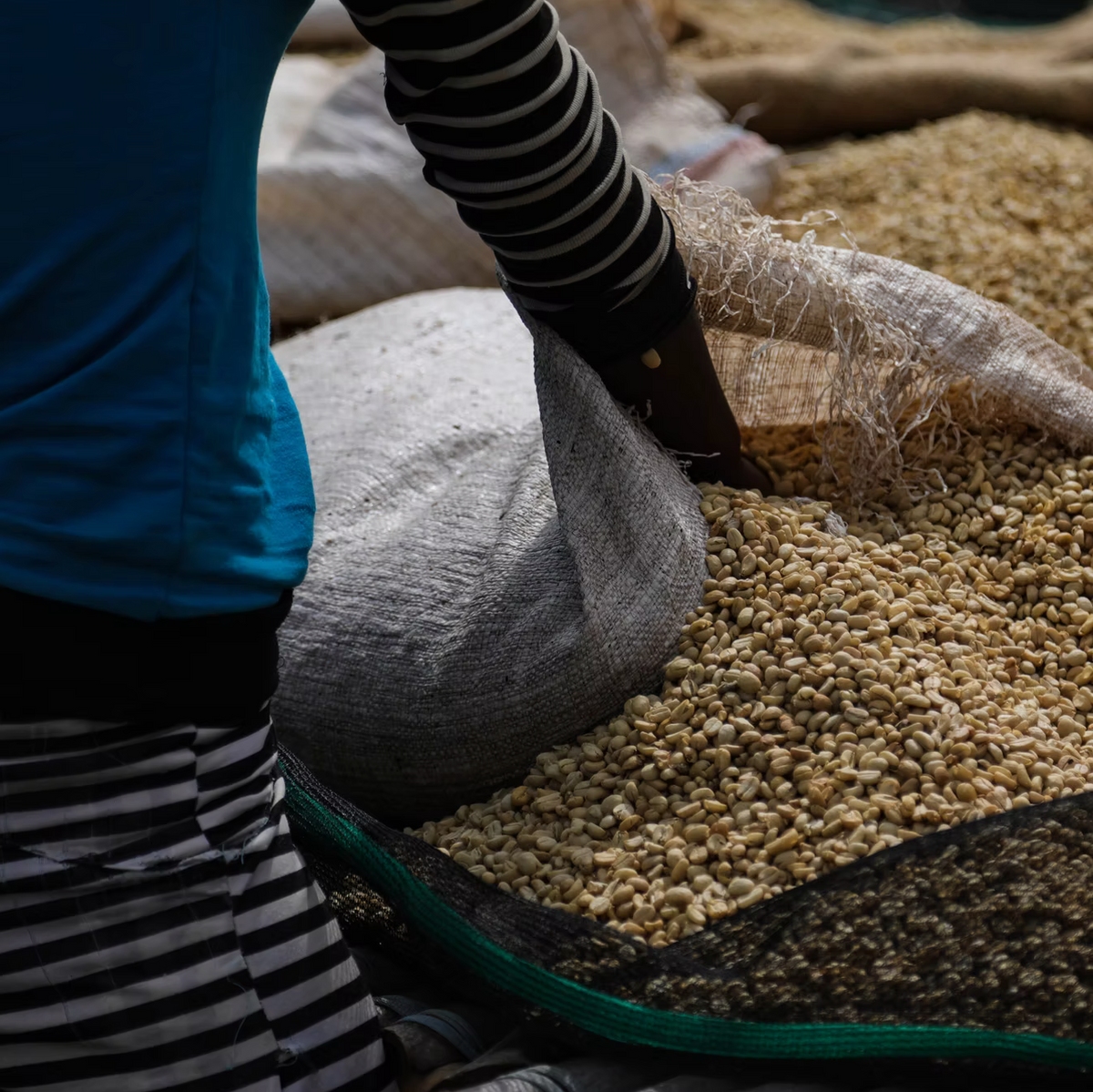 Ethiopia - West Arsi