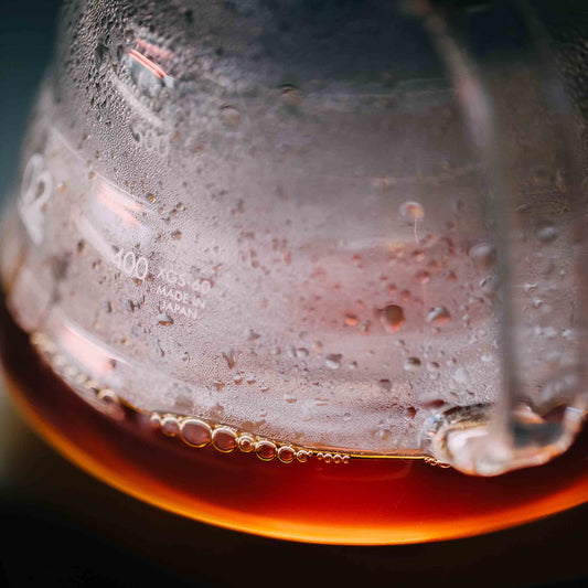 SCA Brewing Foundation