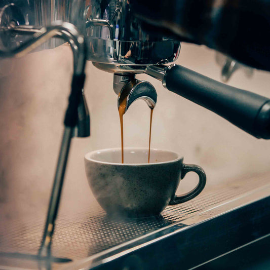 SCA Barista Skills Foundation