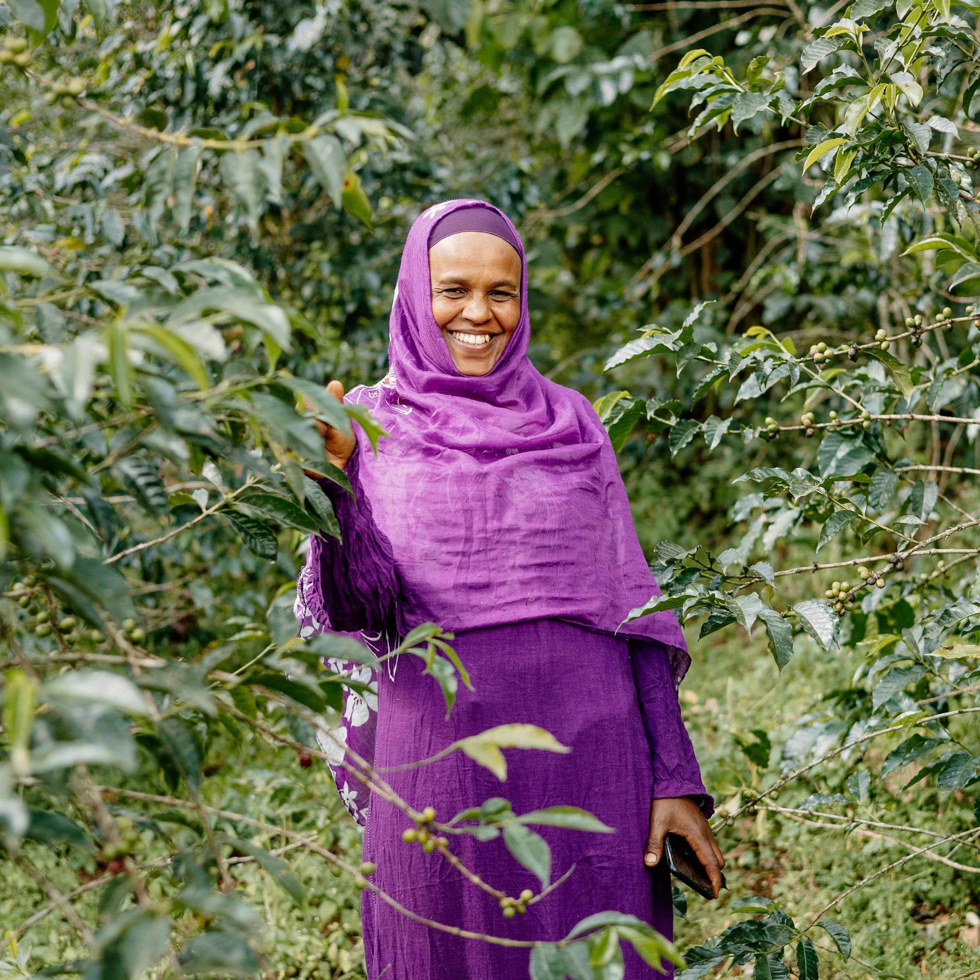 Cadence Espresso 2kg