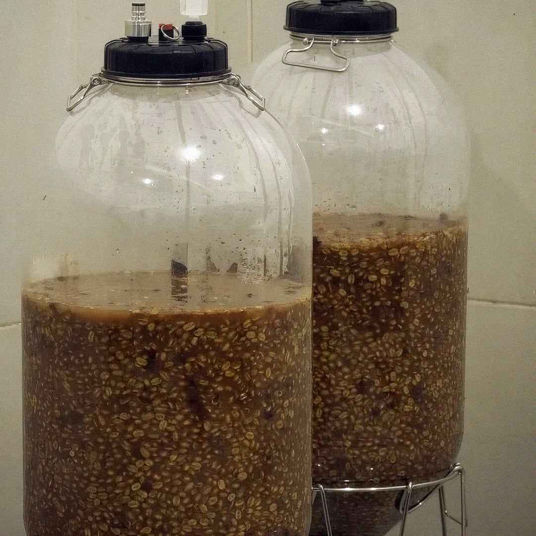 Colombia - Los Nogales Low Caf